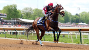 What Goes Into Wood Restoration Services That Actually Work